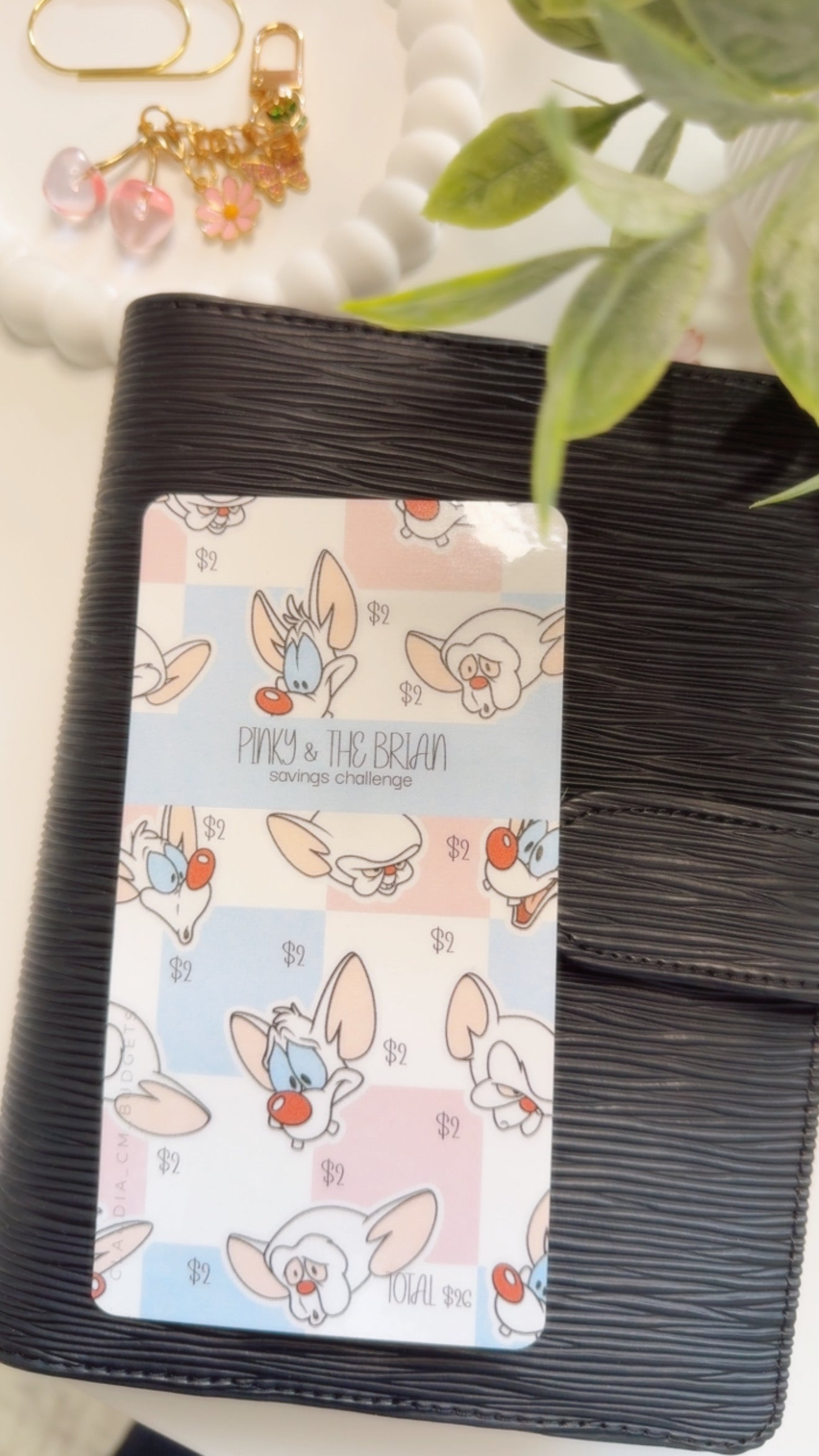 pinky and The Brain Savings Challenge