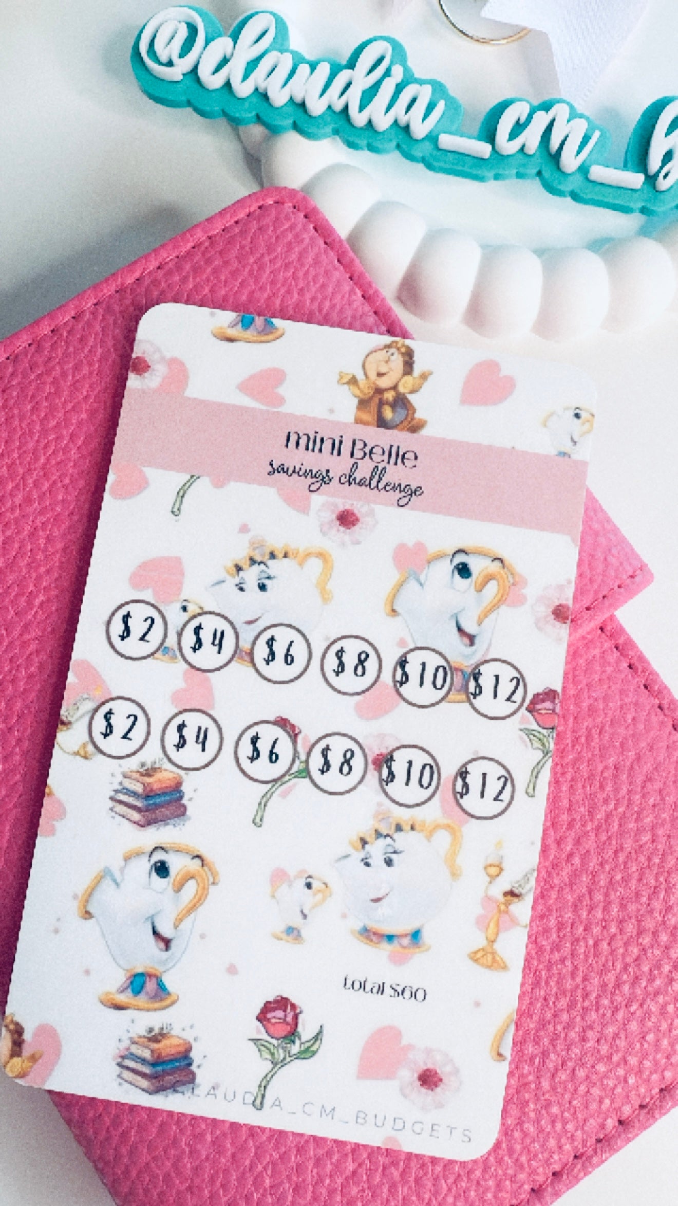 A7 Mini Belle Savings Challenge