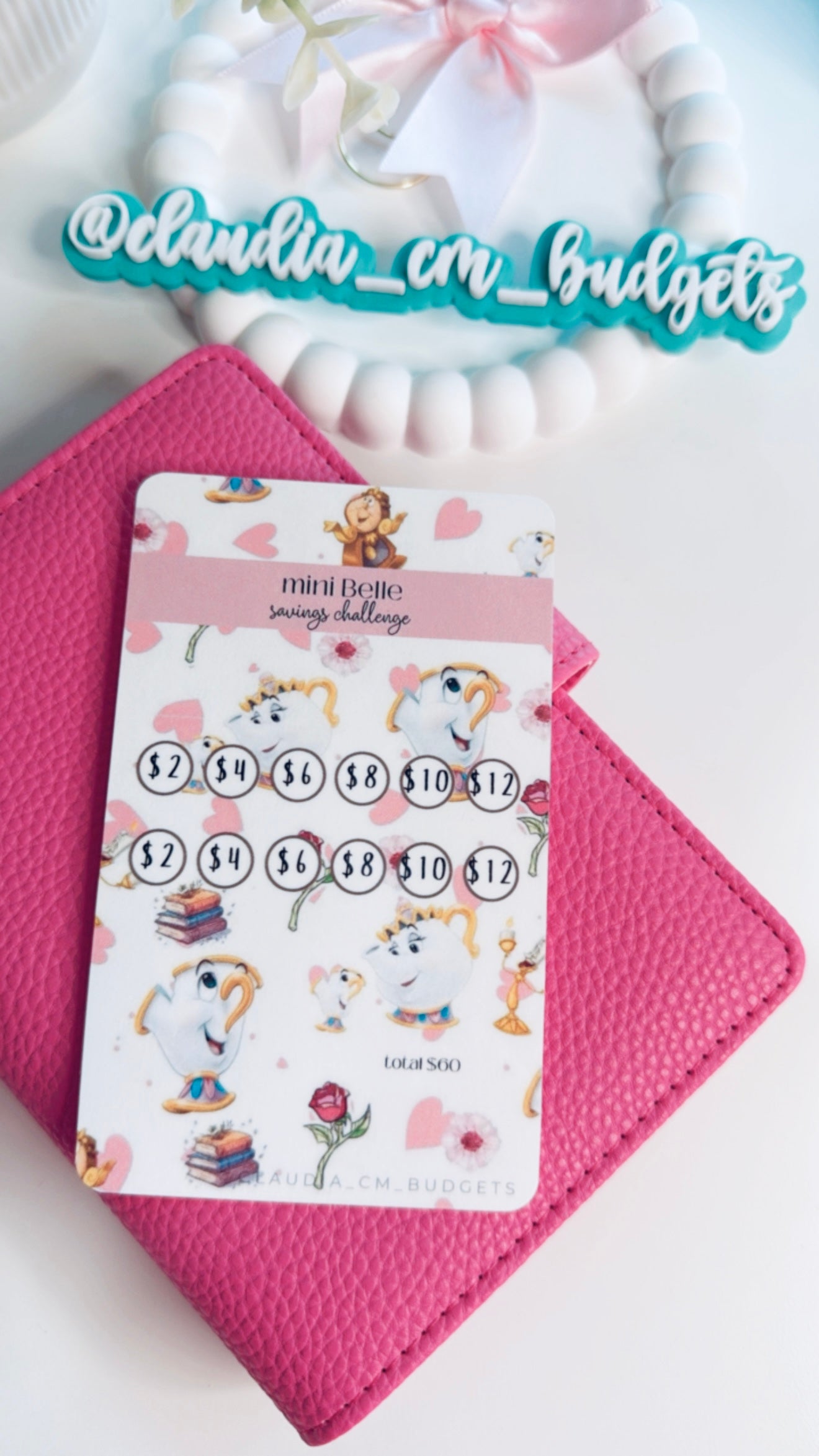 A7 Mini Belle Savings Challenge