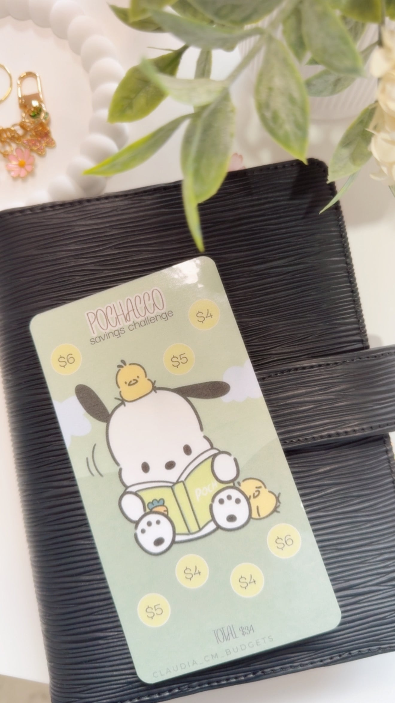 Green Pochacco $34 Savings Challenge