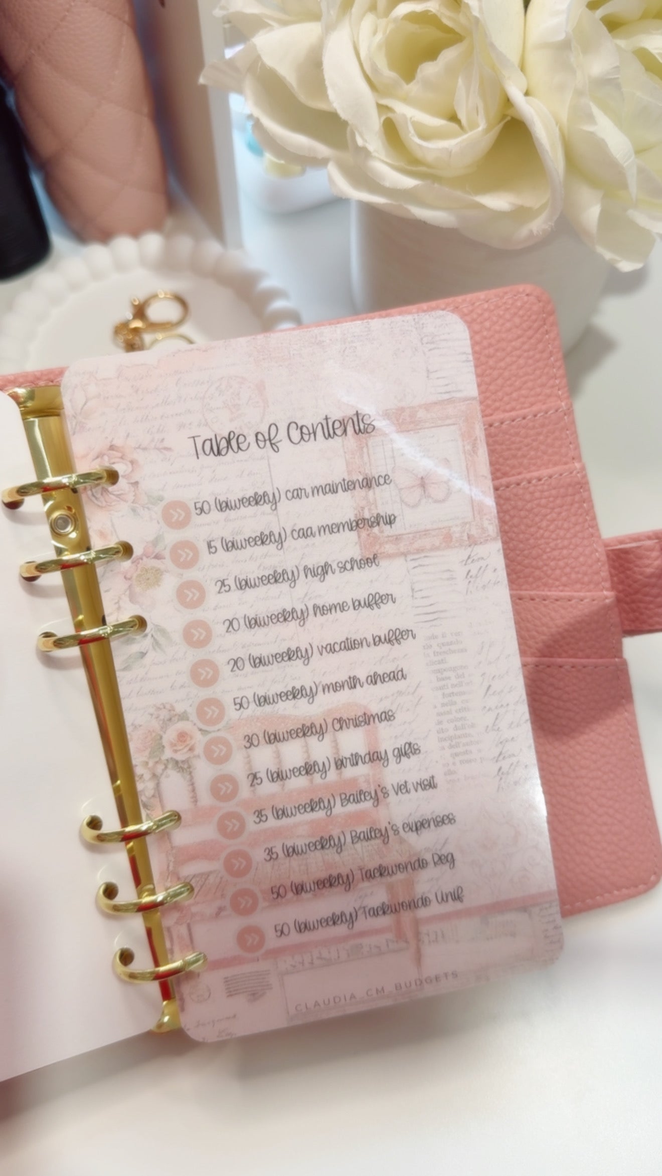 My Sinking Funds Binder