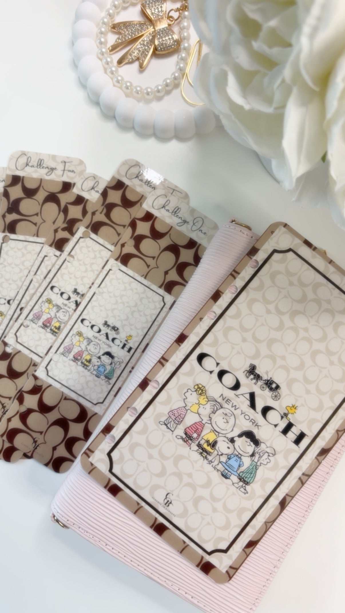 Coach Peanuts Savings Challenge Bundle