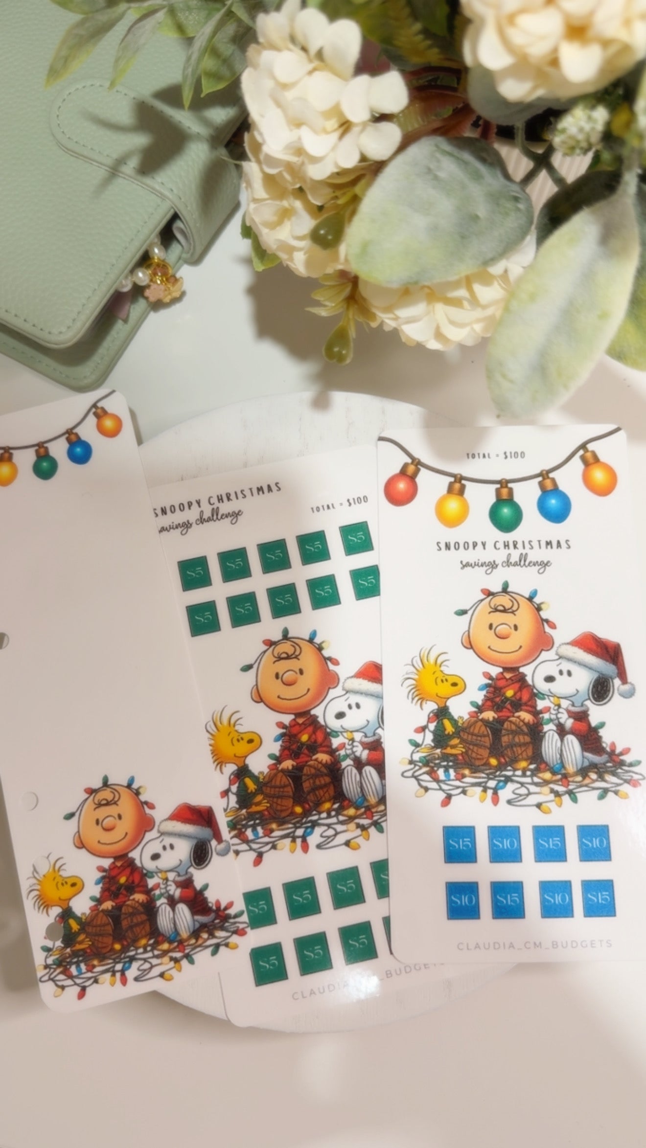 Charlie Brown and Snoopy Bundle
