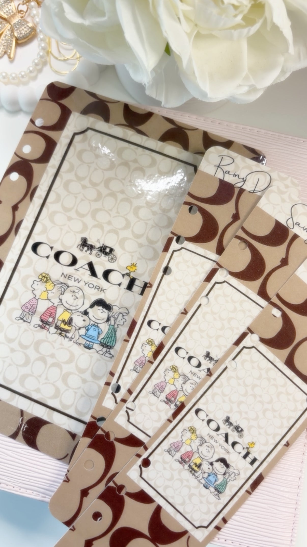 Coach Peanuts Savings Challenge Bundle