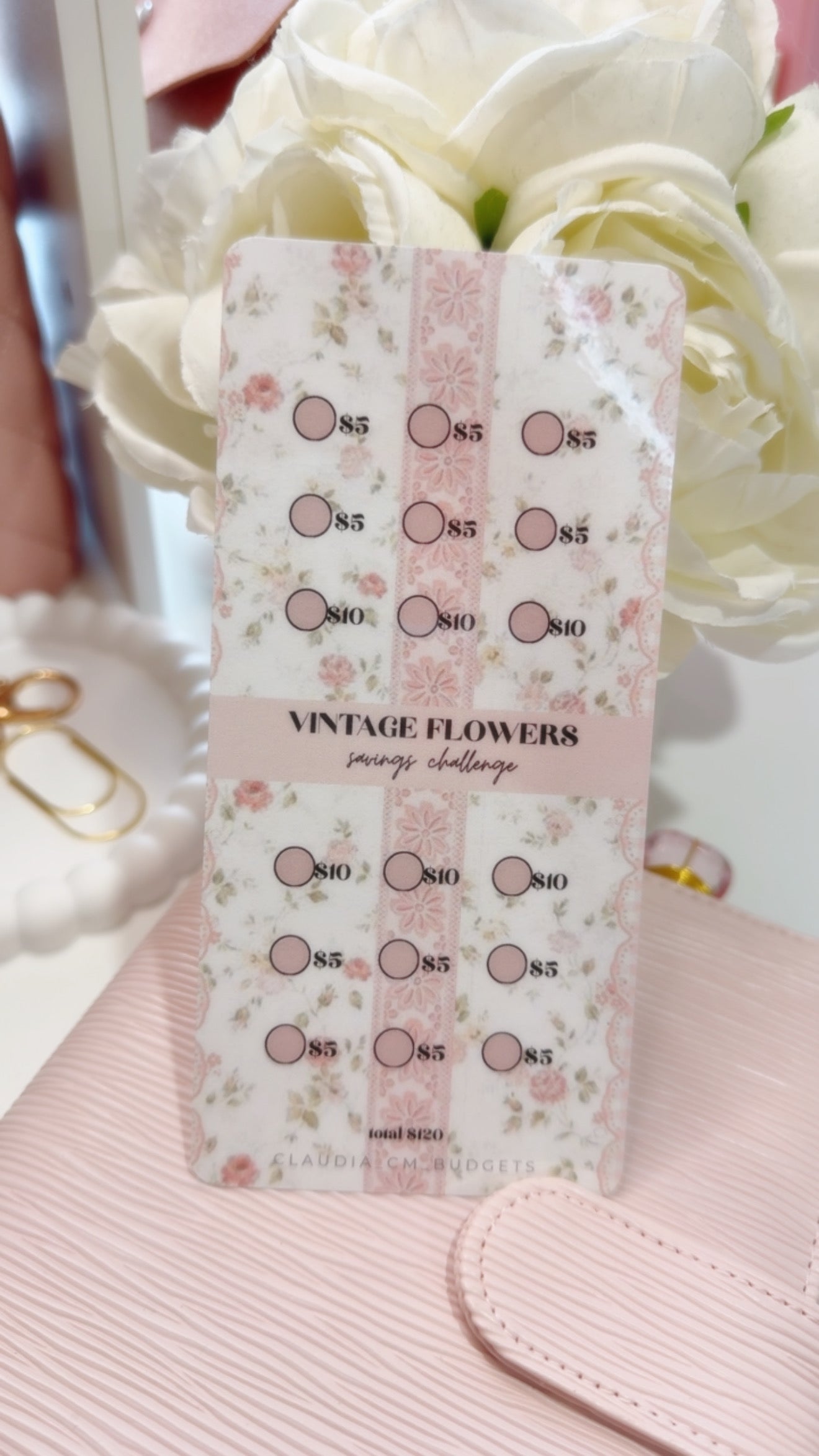 My Savings Challenge Binder