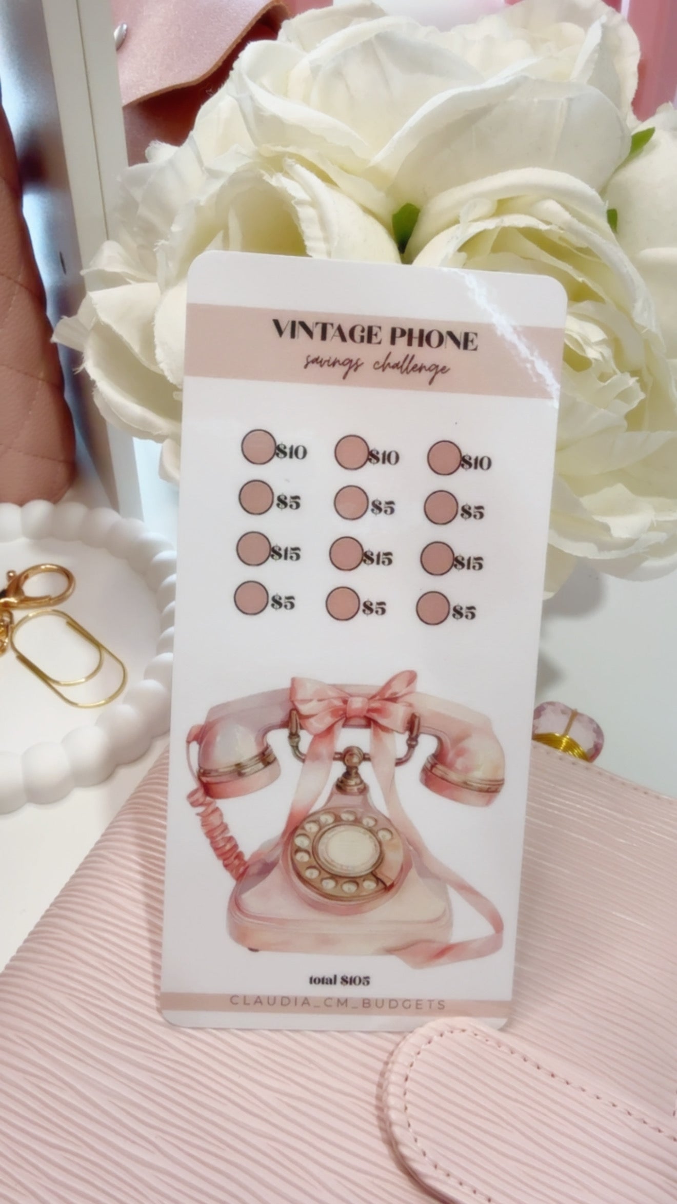 My Savings Challenge Binder