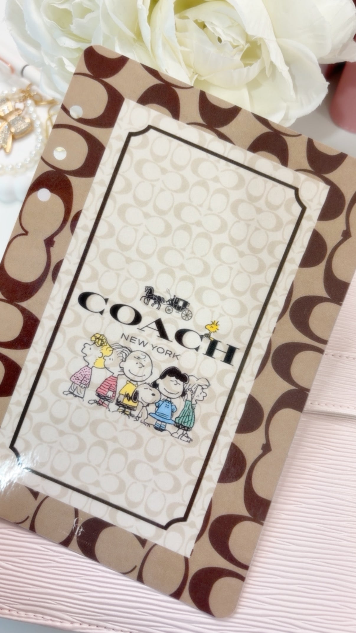 Coach Peanuts Savings Challenge Bundle