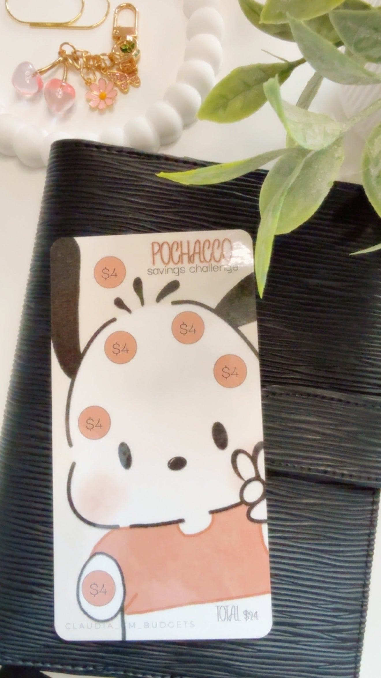 Brown Pochacco $24 Savings Challenge