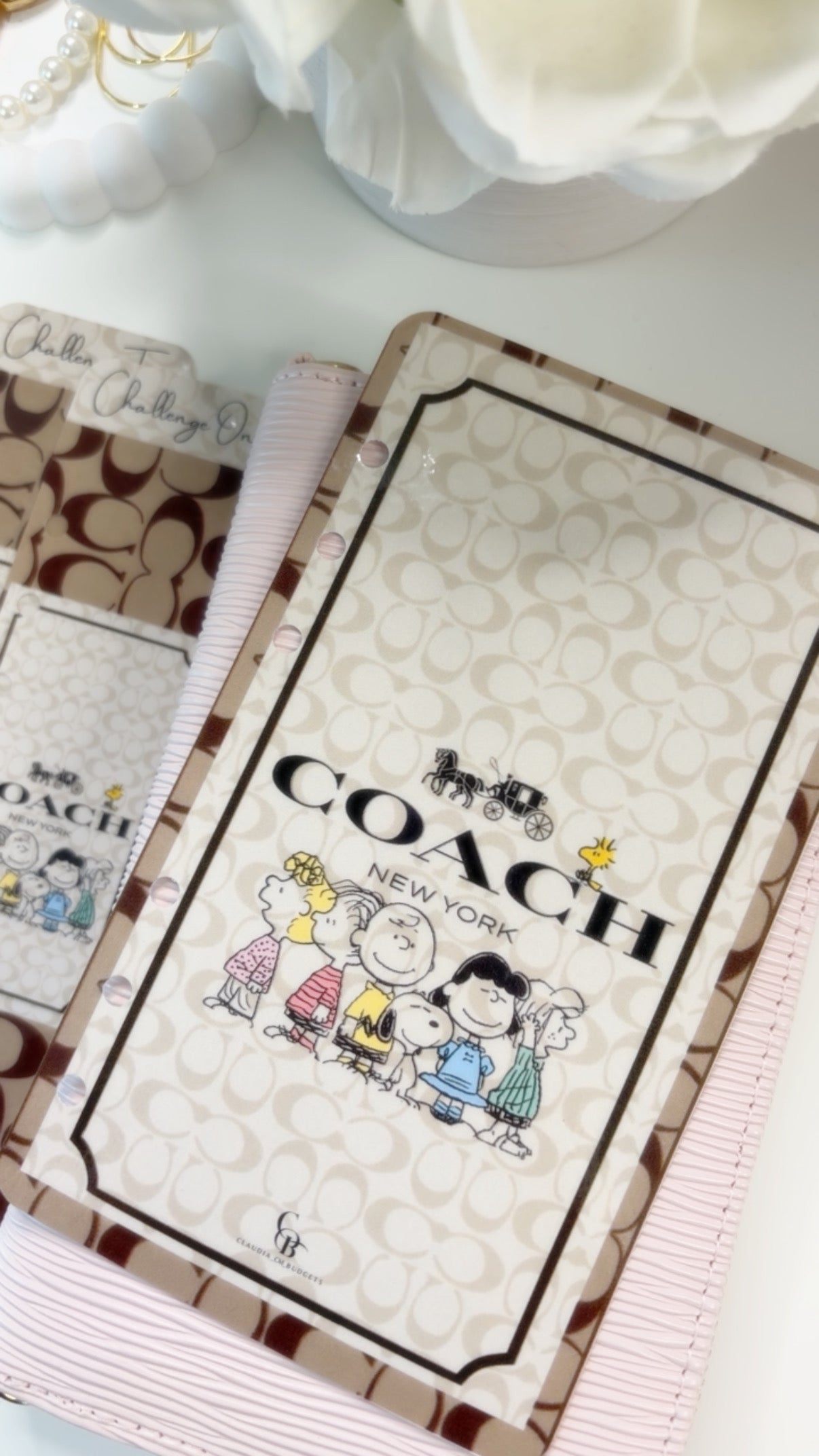 Coach Peanuts Savings Challenge Bundle